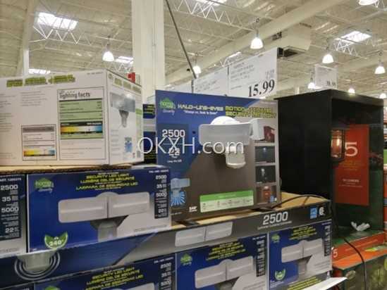 IMG_20180618_142216 (550x413)