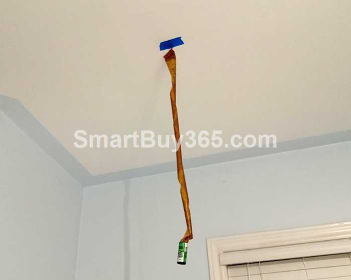 Fly Ribbon-smartbuy365.com